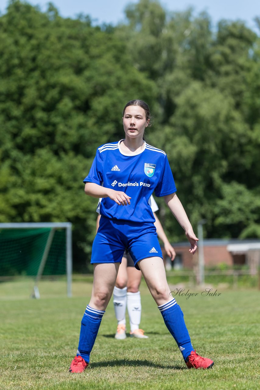 Bild 83 - wBJ VfL Pinneberg - Harksheide : Ergebnis: 2:1